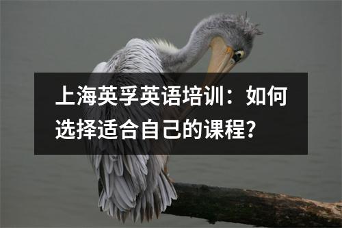 上海英孚英语培训:如何选择适合自己的课程?
