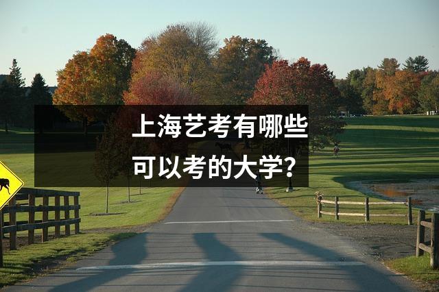 上海艺考有哪些可以考的大学?