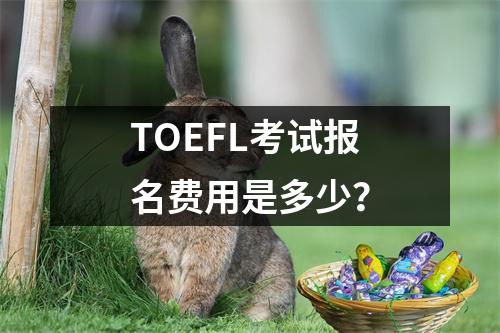 TOEFL考试报名费用是多少?