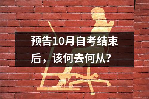 预告10月自考结束后，该何去何从？