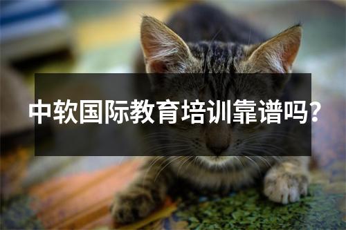 中软国际教育培训靠谱吗？