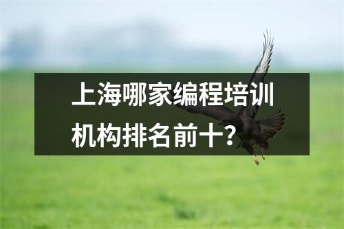 上海哪家编程培训机构排名前十?