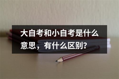 大自考和小自考是什么意思,有什么区别?