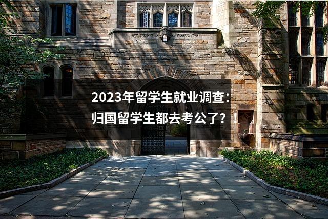 2023年留学生就业调查:归国留学生都去考公了?!