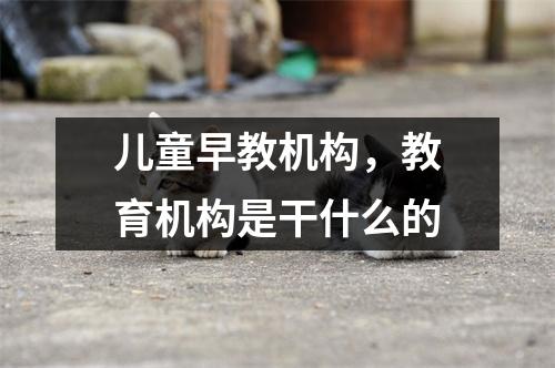 儿童早教机构,教育机构是干什么的