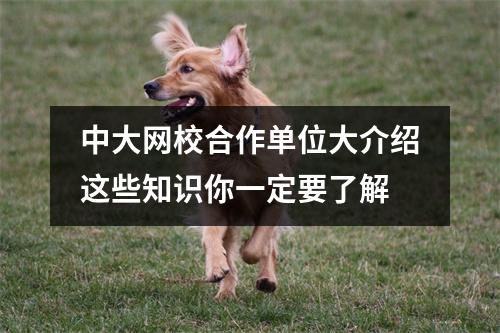 中大网校合作单位大介绍这些知识你一定要了解