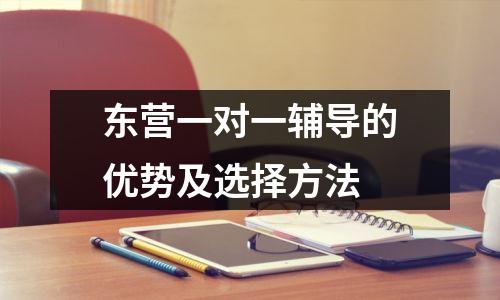 东营一对一辅导的优势及选择方法