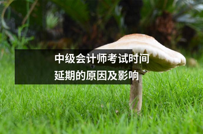 中级会计师考试时间延期的原因及影响