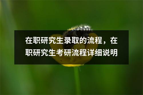 在职研究生录取的流程,在职研究生考研流程详细说明