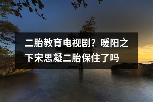二胎教育电视剧?暖阳之下宋思凝二胎保住了吗