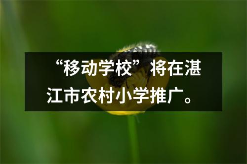 “移动学校”将在湛江市农村小学推广。