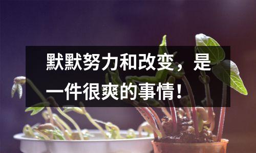 默默努力和改变，是一件很爽的事情！