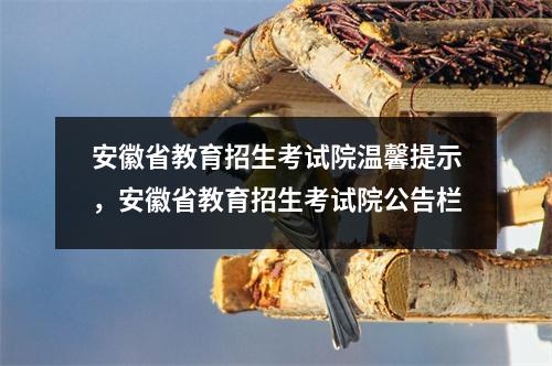 安徽省教育招生考试院温馨提示,安徽省教育招生考试院公告栏
