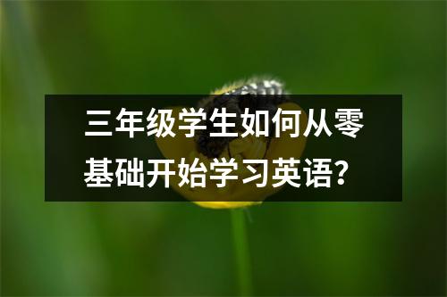三年级学生如何从零基础开始学习英语?
