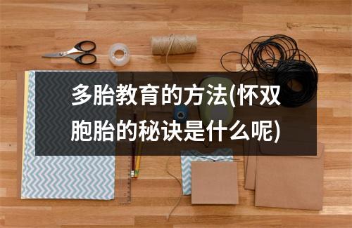 多胎教育的方法(怀双胞胎的秘诀是什么呢)