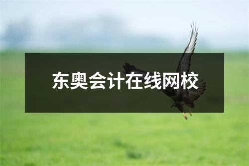 东奥会计在线网校
