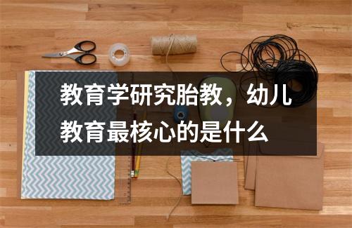 教育学研究胎教,幼儿教育最核心的是什么