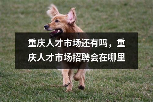 重庆人才市场还有吗，重庆人才市场招聘会在哪里