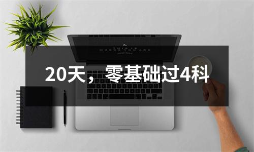 20天，零基础过4科