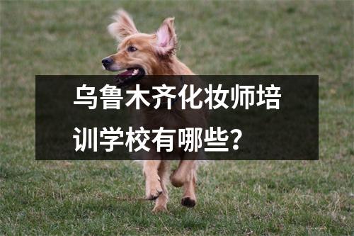 乌鲁木齐化妆师培训学校有哪些?