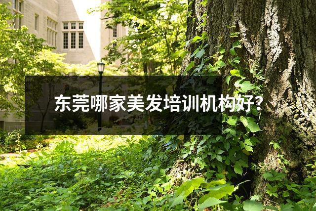 东莞哪家美发培训机构好?