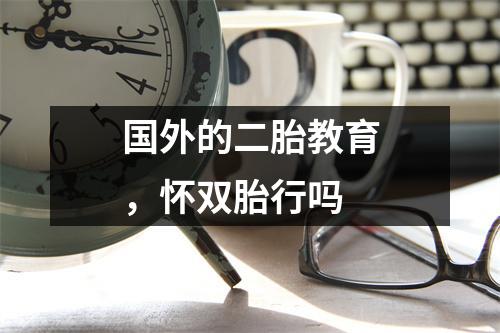 国外的二胎教育,怀双胎行吗