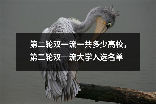 第二轮双一流一共多少高校,第二轮双一流大学入选名单