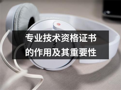 专业技术资格证书的作用及其重要性