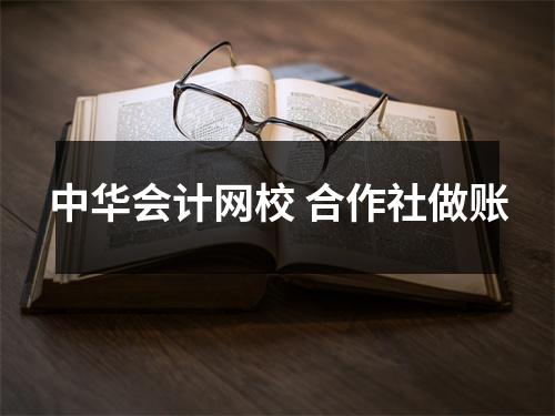 中华会计网校 合作社做账