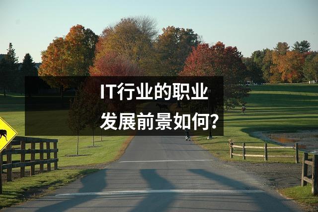 IT行业的职业发展前景如何?