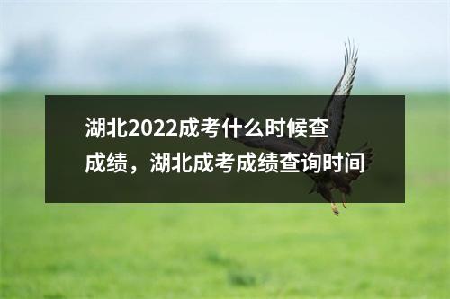 湖北2022成考什么时候查成绩,湖北成考成绩查询时间