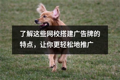 了解这些网校搭建广告牌的特点，让你更轻松地推广