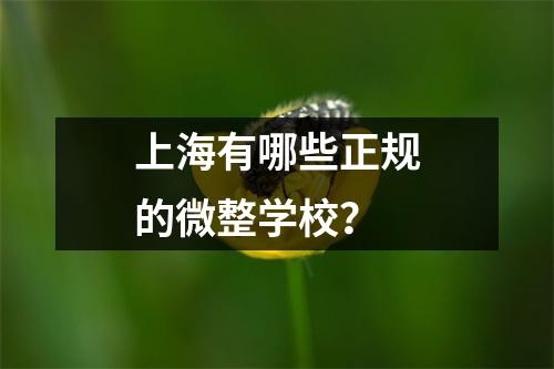 上海有哪些正规的微整学校?