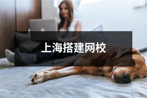上海搭建网校
