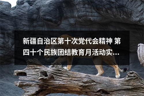 新疆自治区第十次党代会精神 第四十个民族团结教育月活动实施方案