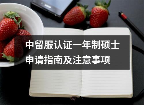 中留服认证一年制硕士申请指南及注意事项
