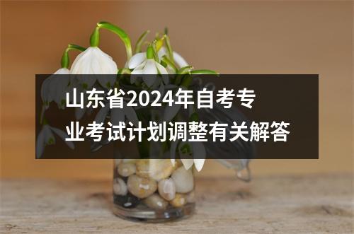 山东省2024年自考专业考试计划调整有关解答