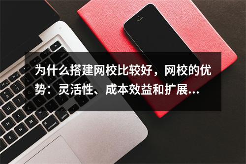 为什么搭建网校比较好，网校的优势：灵活性、成本效益和扩展性