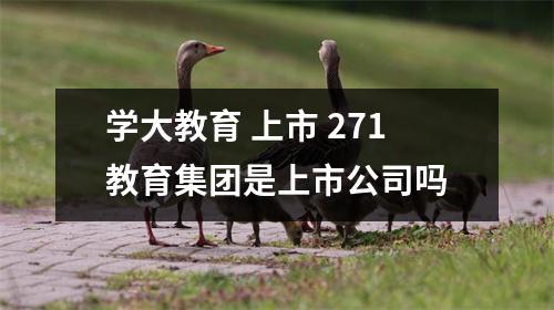 学大教育 上市 271教育集团是上市公司吗