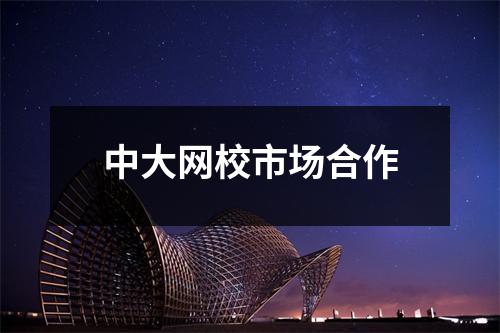 中大网校市场合作