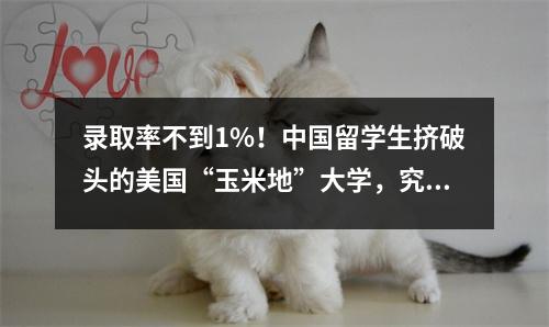 录取率不到1%！中国留学生挤破头的美国“玉米地”大学，究竟有何魅力？