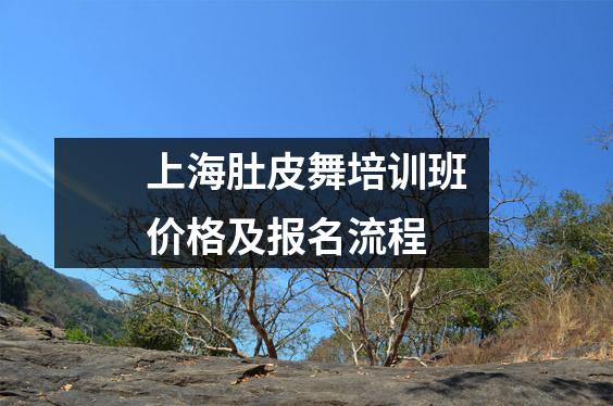 上海肚皮舞培训班价格及报名流程