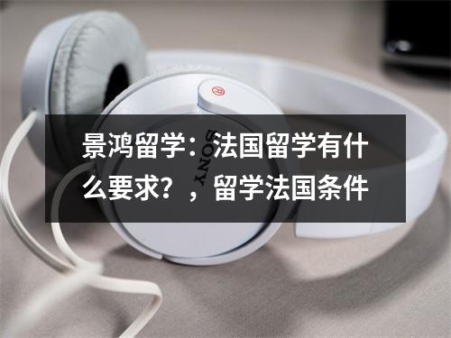景鸿留学:法国留学有什么要求?,留学法国条件