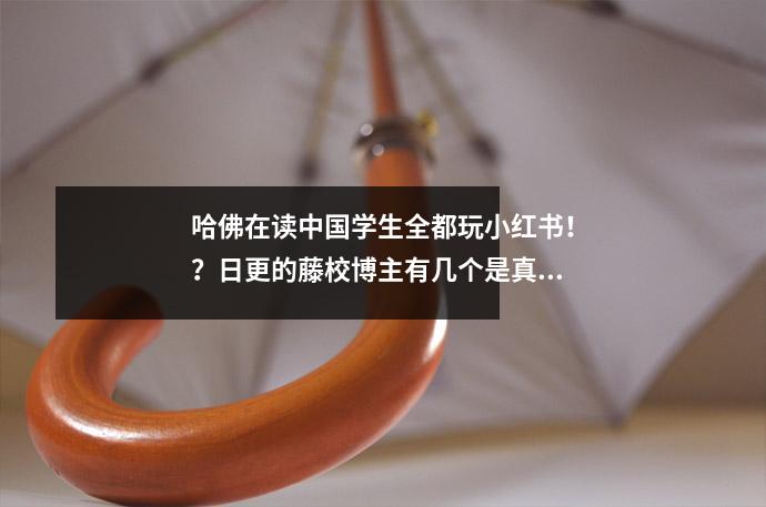 哈佛在读中国学生全都玩小红书！？日更的藤校博主有几个是真的？