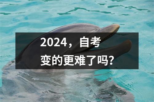 2024,自考变的更难了吗?