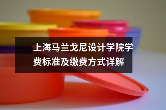 上海马兰戈尼设计学院学费标准及缴费方式详解