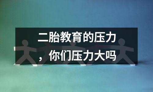 二胎教育的压力,你们压力大吗
