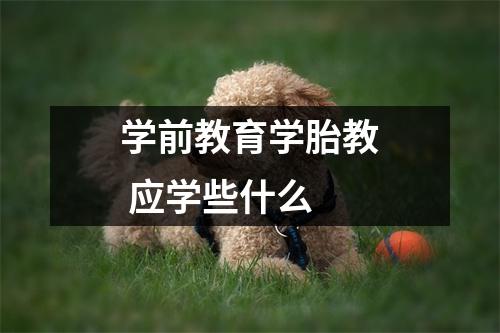 学前教育学胎教 应学些什么
