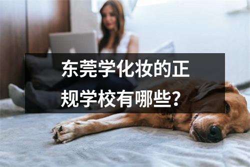 东莞学化妆的正规学校有哪些?