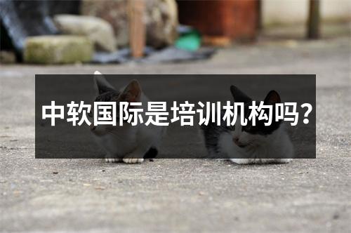 中软国际是培训机构吗?